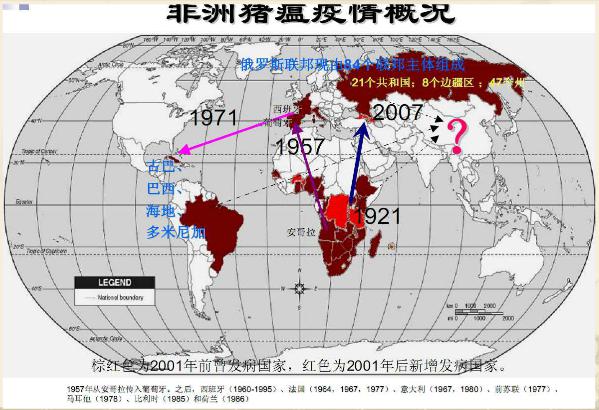 非洲猪瘟来了！提高猪群免疫力也关键！