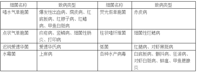 澳碘-30在水产上的应用