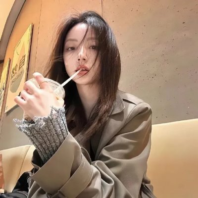 公主复仇者